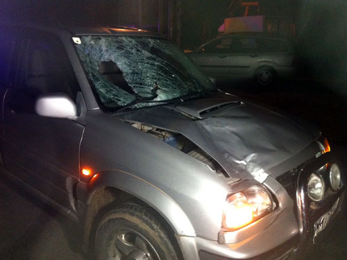 Accident mortal Stejarul